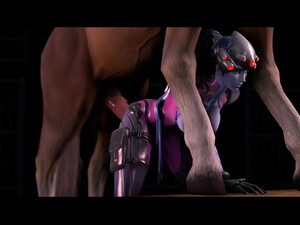 Horse video 90