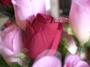 Here Cum The Brides 1 [2004, Bobby Rinaldi].avi